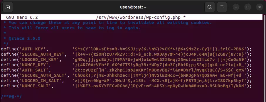 Configuration file wp-config.php with new key entries Configuration file wp-config.php with new key entries