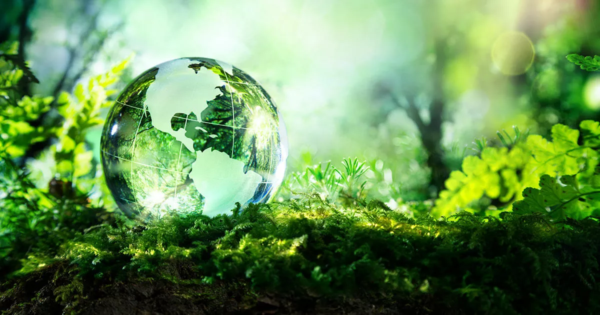 Image: Sustainable Web Design