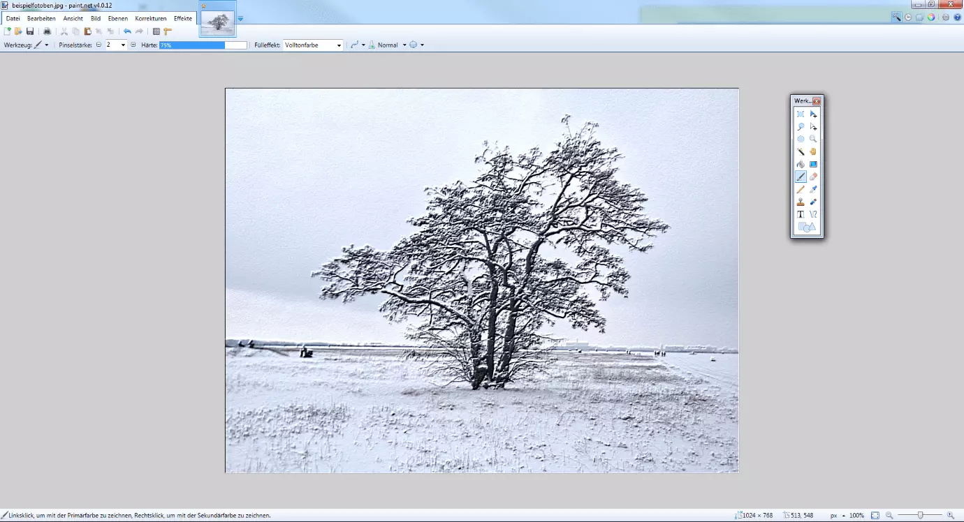 Image: Screenshot of the Paint.NET tool