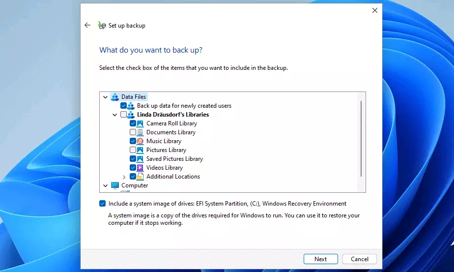 Image: Windows 11 backup: Choice of files to backup